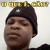 O QUE É, CAO? obibo
