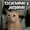 Escuchando y juzgando
