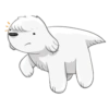 Beloni cute dog - Perro 15