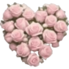 Spring emoji iPhone🌺 22