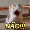 Gatinhos engraçados😹 8