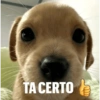 TA CERTO