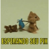 ESPERANDO SEU PIX