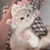 Gatitos bonitos 💗 5
