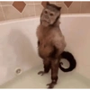 Monkey Stickers 1 11