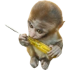 Memes 31 27