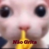 Não grita 5