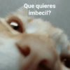 Más Reacciones #14 🍧 11