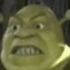 Memes Shrek 💚 9