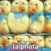 D ta phota