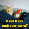 o que é que você quer porra?