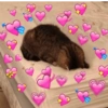 Reações de amor 12