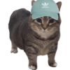 Akmal Cat oiia 12