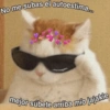 Frases de amor 10