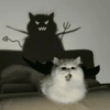 Gatitos bonitos 💗 22