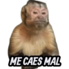 ME CAES MAL