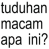 Anomali text  12