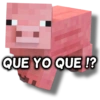 QUE YO QUE !?