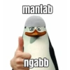 mantab ngabb