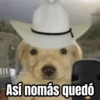 🌸 Corridos Onichan - Anime 😂 10