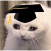 MEME WISUDA LIDI & KUCING🎓 10