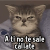 A ti no te sale cállate