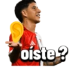 River plate  12
