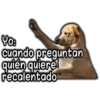 🐵Los de Septiembre/Memes🤣 5