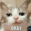 Mewing meme  16