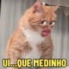 UL....QUE MEDINHO