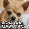 MEMES E DEBOCHE 👍🏻 8