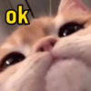 ok