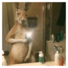 Shitpost Random 😭 13