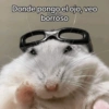 Animalitos para el chat pt.2💕 8