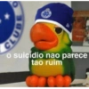 Cruzeiro 💙🦊 10