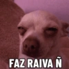 FAZ RAIVA N
