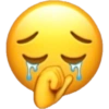 Emoji iPhone ios plenger  13