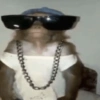 Macaco 16