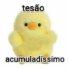 tesão acumuladíssimo