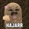 HAJARR