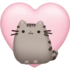 Pusheen Pink 🩷🩷 9