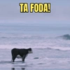 TA FODA!
