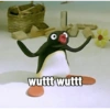 Pingu 20