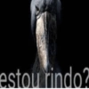 CONTÉM IRONIA 8