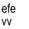 efe VV