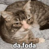 da foda