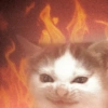 Meme Kucing  6