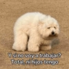 Animalitos para el chat pt.2💕 15