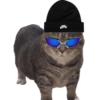 Akmal Cat oiia 15