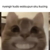 Kucing 5
